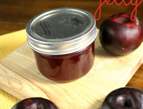 Homemade Plum Jelly Recipe