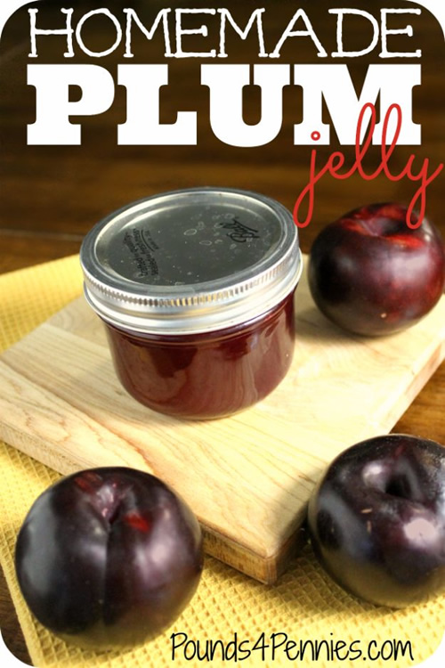 Homemade Plum Jelly Recipe