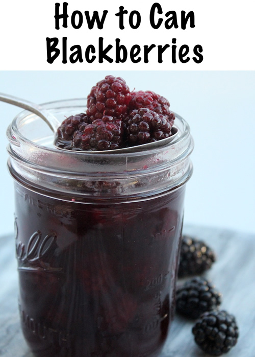 Canning Blackberries
