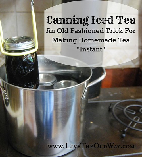 Canning Iced Tea Recipe