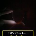 DIY Chicken Egg Candler