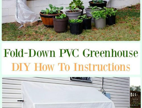 DIY Fold Down PVC Greenhouse Plans