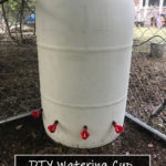 DIY Watering Cup Chicken Waterer