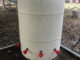 DIY Watering Cup Chicken Waterer