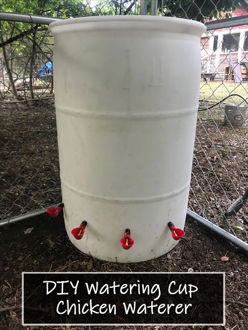 DIY Watering Cup Chicken Waterer