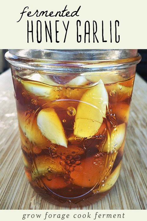 Fermented Honey Garlic