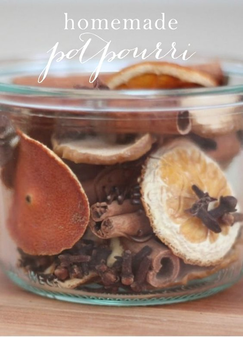 Homemade Potpourri