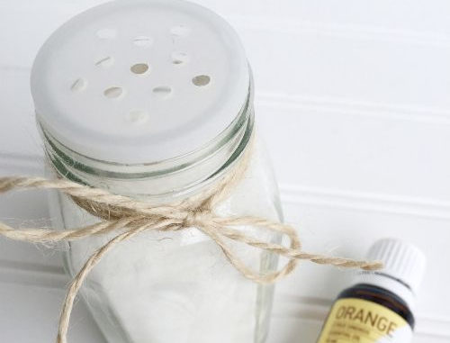 Homemade Refrigerator Deodorizer