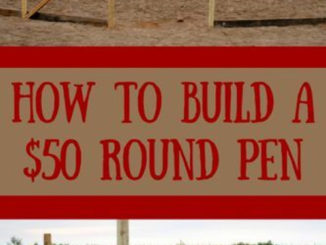 How To Build A Round Pen