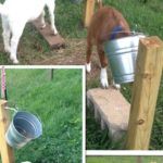 DIY Goat Feeding Stand