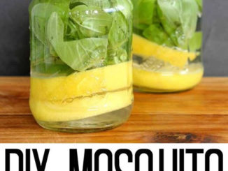 DIY Mosquito Repellent Candles