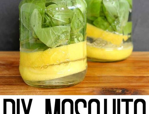DIY Mosquito Repellent Candles