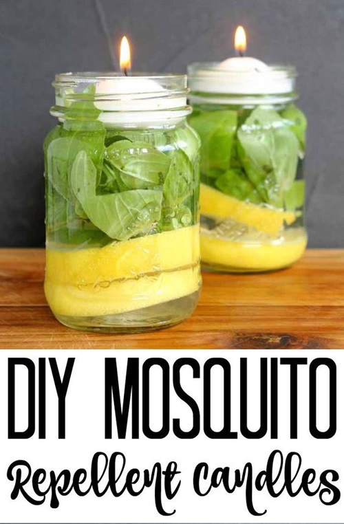 DIY Mosquito Repellent Candles