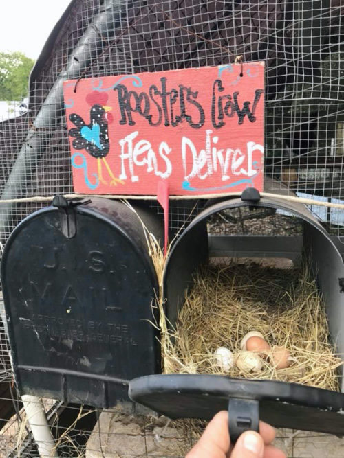 DIY Old Mailbox Nesting Box