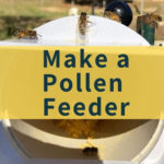 DIY Pollen Feeder For Bees