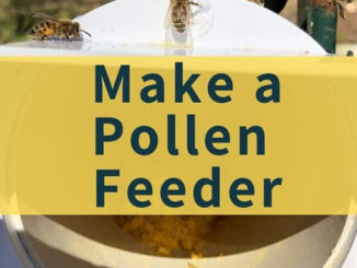 DIY Pollen Feeder For Bees