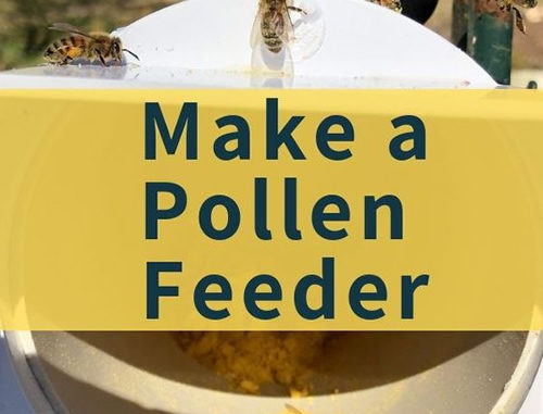 DIY Pollen Feeder For Bees