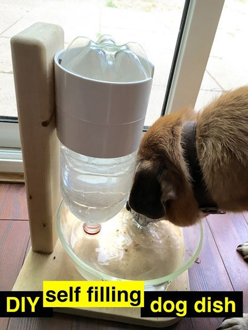  DIY Self Filling Dog Dish