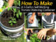 DIY Self Wicking Tomato Watering Container