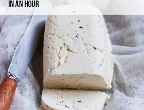 Homemade Halloumi Cheese Recipe