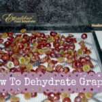 How To Dehydrate Grapes