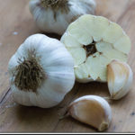 How To Grow Kettle River Giant Garlic