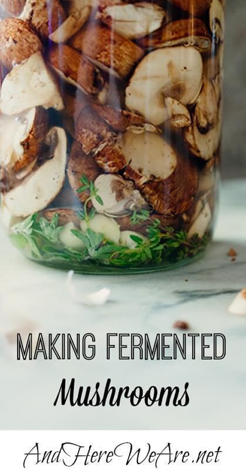 How To Make Fermented Mushrooms