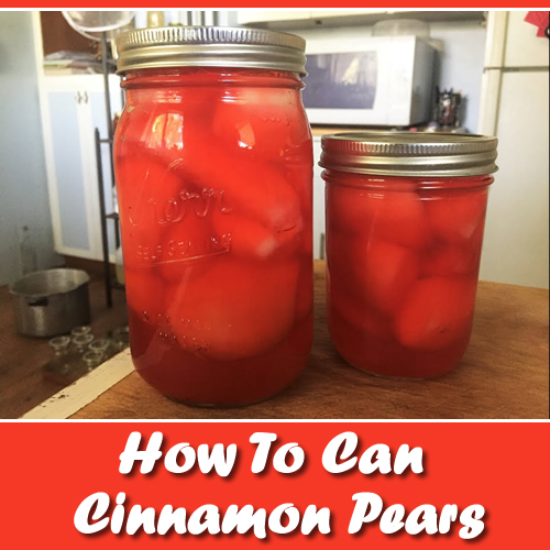Canning Cinnamon Pears
