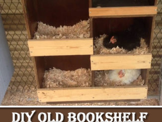 DIY Bookshelf Chicken Nest Box