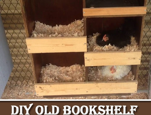 DIY Bookshelf Chicken Nest Box