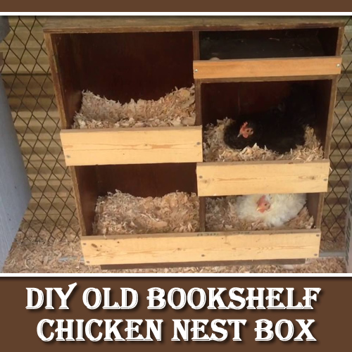 DIY Bookshelf Chicken Nest Box