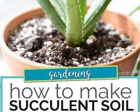 DIY Succulent Soil Mix