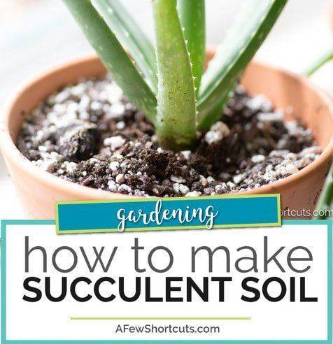 DIY Succulent Soil Mix 