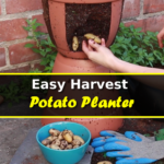 Easy Harvest Potato Planter