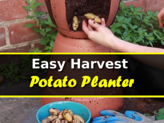Easy Harvest Potato Planter