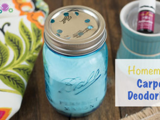 Homemade Carpet Deodorizer