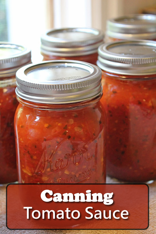 Canning Tomato Sauce Recipe