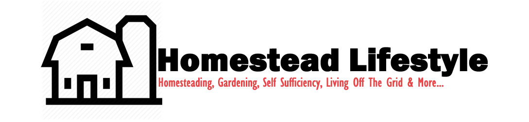 Homestead Lifestyle