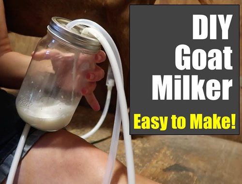 DIY Mason Jar Goat Milker