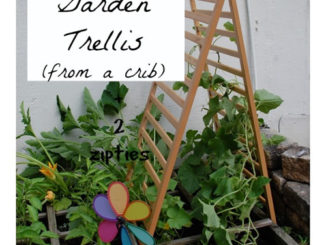 DIY Old Baby Crib Garden Trellis