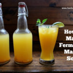 Fermented Mango Soda Recipe