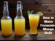 Fermented Mango Soda Recipe