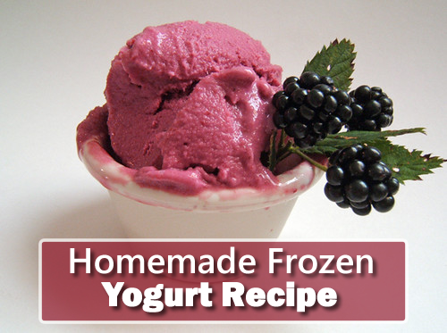 Homemade Frozen Yogurt Recipe