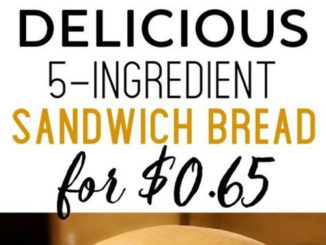 Homemade Sandwich Bread Recipe