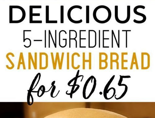 Homemade Sandwich Bread Recipe