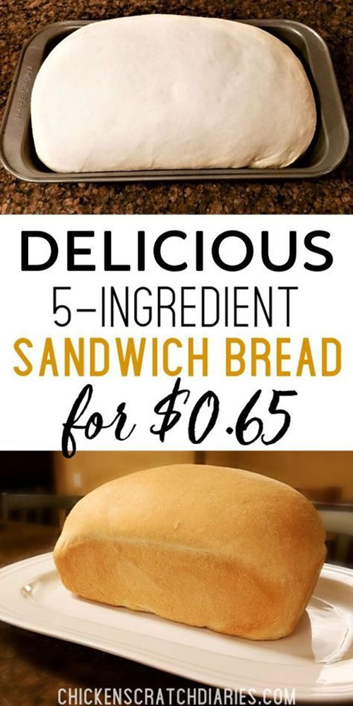 Homemade Sandwich Bread Recipe