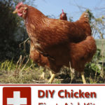 DIY Chicken First Aid Kit
