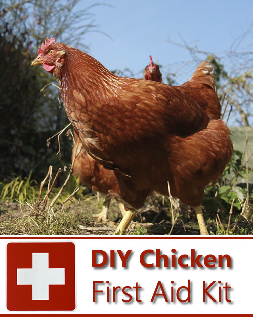 DIY Chicken First Aid Kit