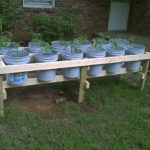 DIY Plastic Bucket Raised Garden Beds