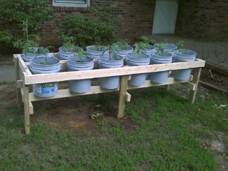 DIY Plastic Bucket Raised Garden Beds
